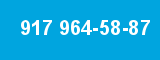 917 964-58-87